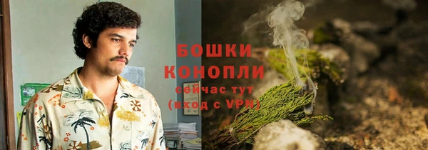 PSILOCYBIN Козельск