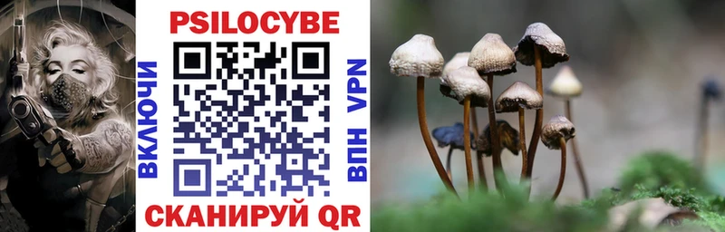 Псилоцибиновые грибы Psilocybine cubensis  Хвалынск 